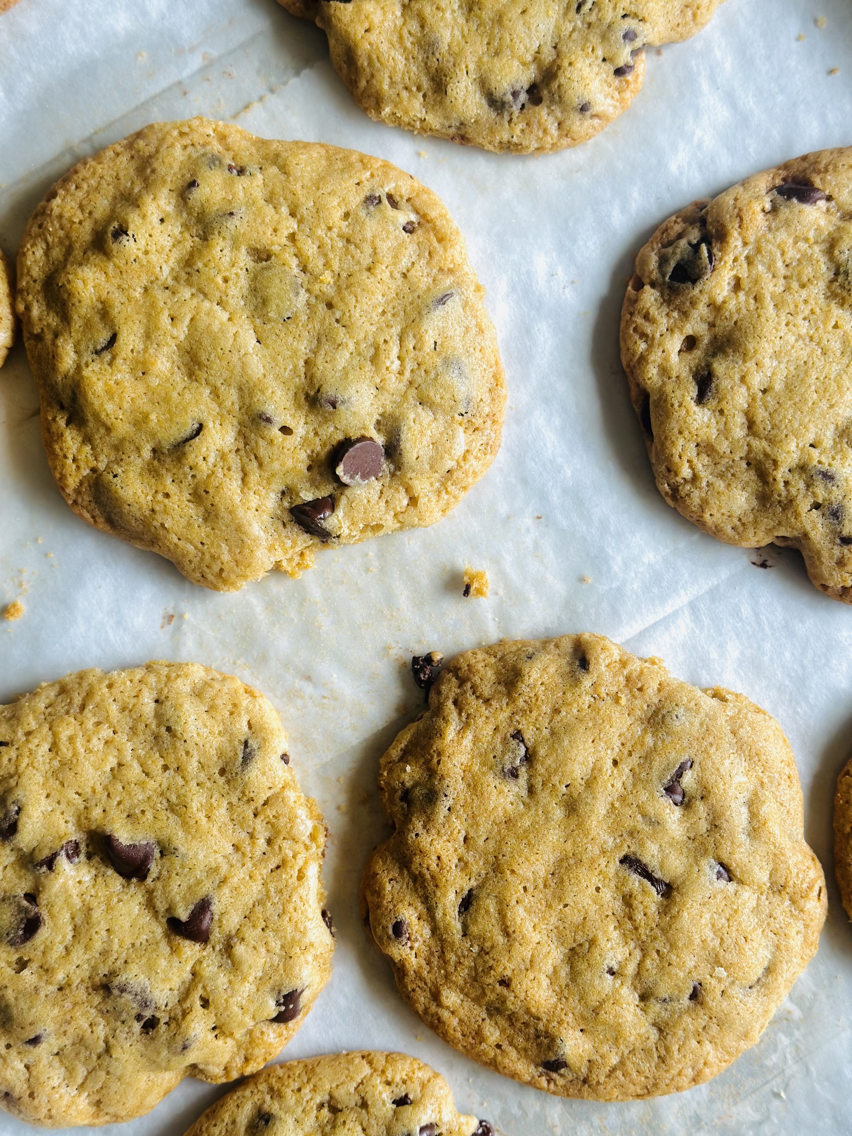 Baked chocolate chip cookies on a sheet pan