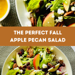 An autumn salad with apple slices, dried cranberries, crumbled goat cheese, and pecans, served on a serving plate