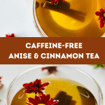 A clear mug full of freshly brewed anise seed tea with cinnamon sticks and edible flowers
